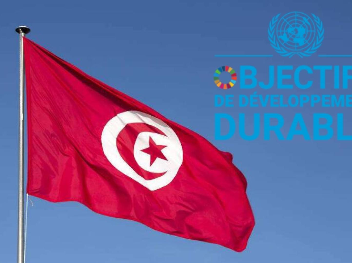 Тунисская Республика флаг